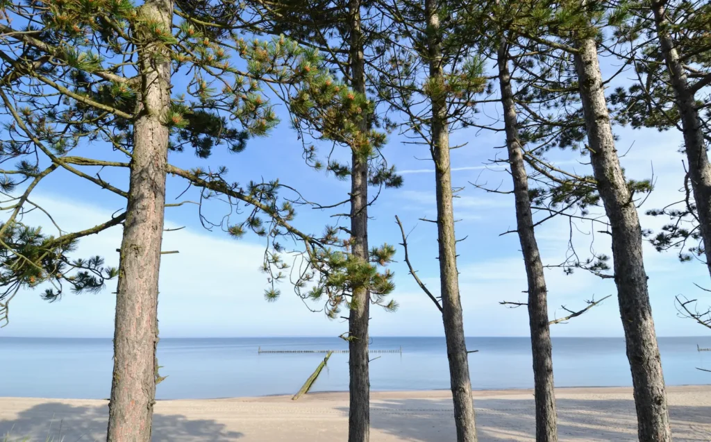 Dzika plaża mierzeja jeziora Kopań i Bałtyku