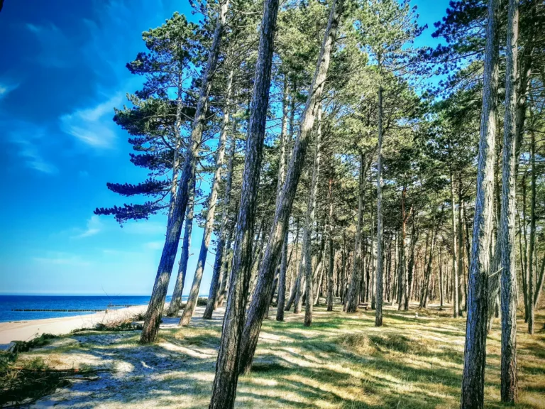 Spokojne miejsca nad Bałtykiem