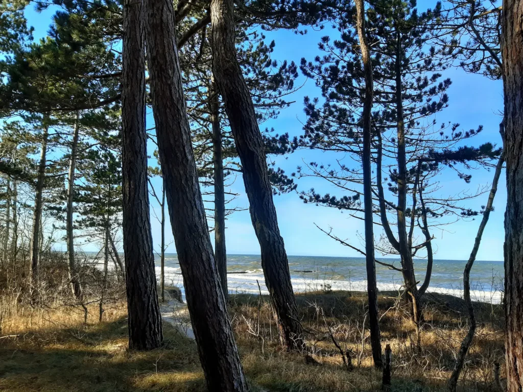 Gdzie nad Bałtykiem bez tłumów w 2026