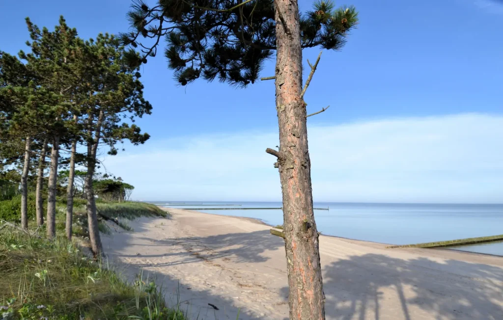 Dzika plaża i surowy krajobraz na mierzei w Kopaniu bez tłumów