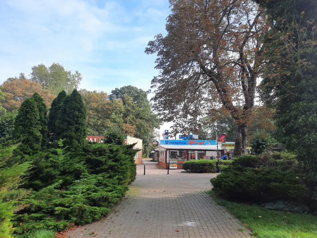 smażalnie